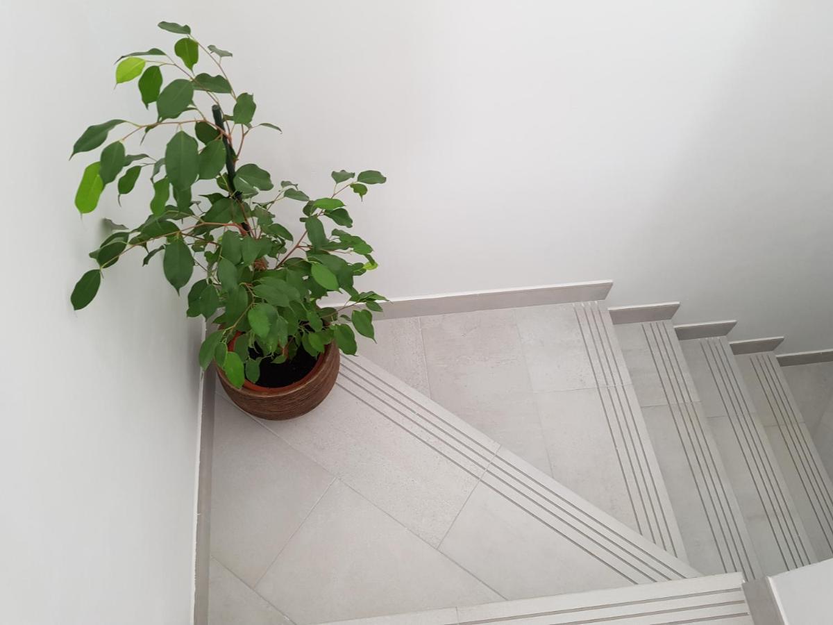Loft Abantos - 120M2 Mas Terraza Y Jardin Independiente Сан-Лоренсо-де-Эль-Эскориаль Экстерьер фото
